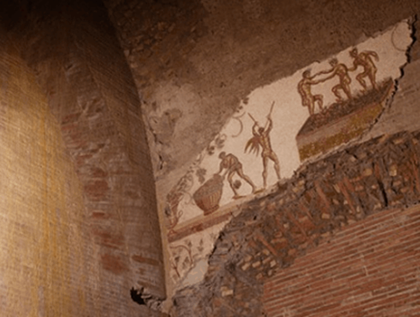 Vinegrowing and Winemaking in the Roman World EXARC